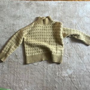 Everlane Cloud checkered turtleneck